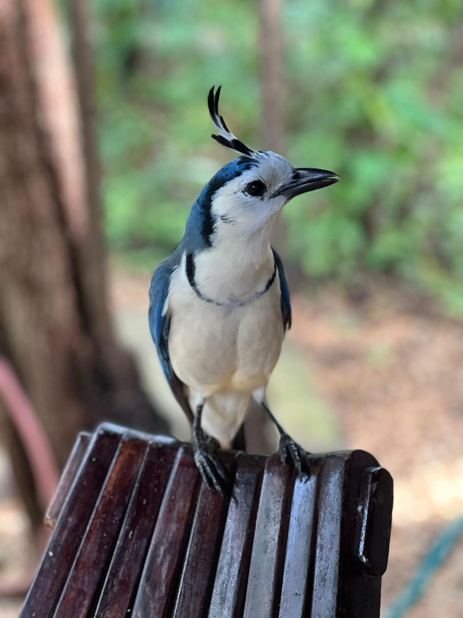 Mundo Milo Eco Lodge Paraíso Εξωτερικό φωτογραφία