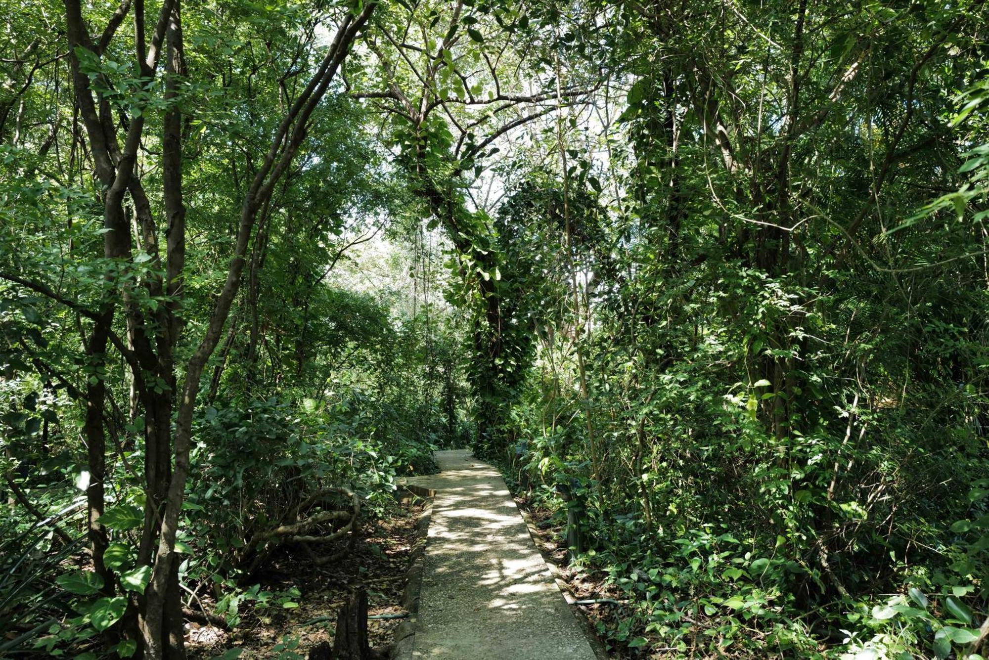Mundo Milo Eco Lodge Paraíso Εξωτερικό φωτογραφία