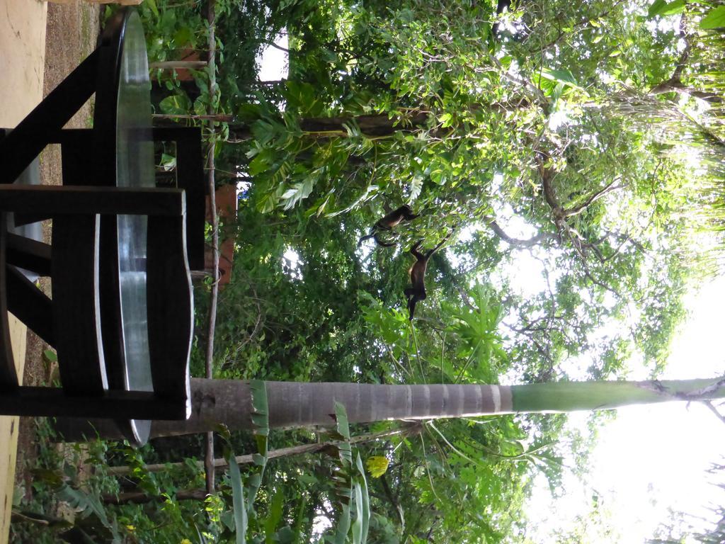 Mundo Milo Eco Lodge Paraíso Εξωτερικό φωτογραφία