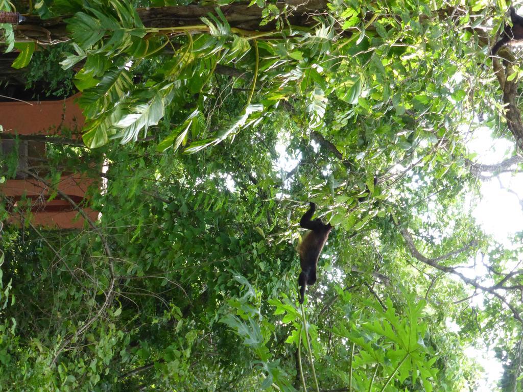 Mundo Milo Eco Lodge Paraíso Εξωτερικό φωτογραφία